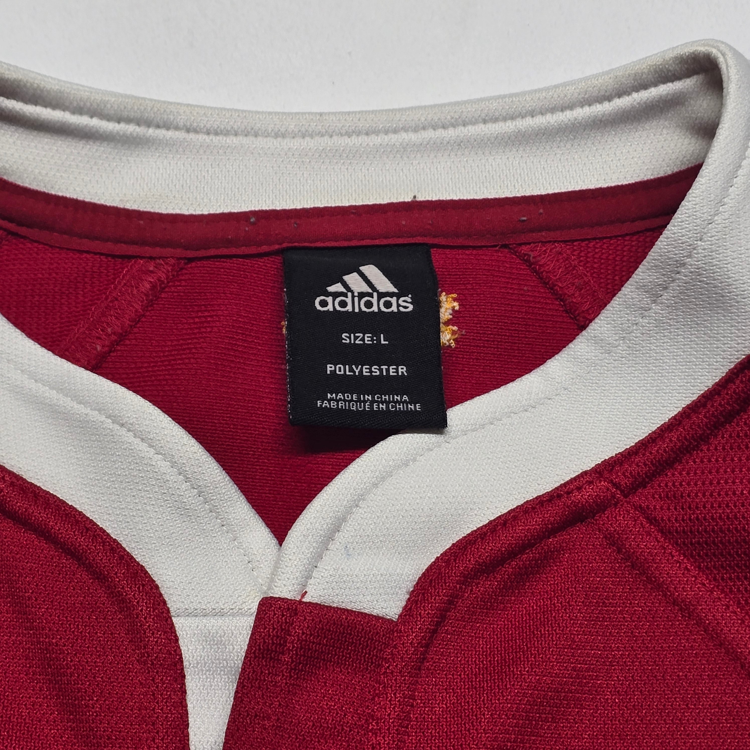 British & Irish Lions 2005 Tour Jersey - Large