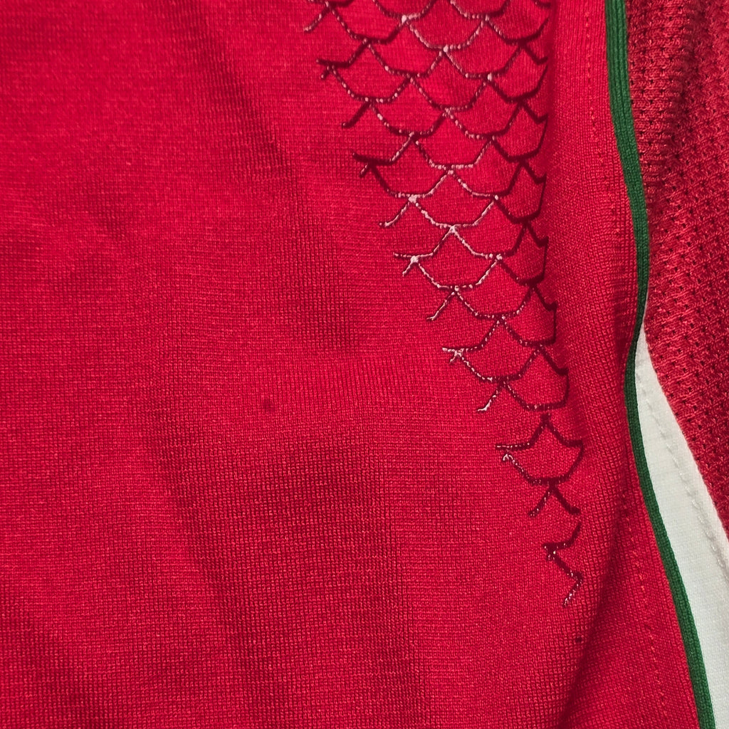 Wales 2009 Rugby Jersey - Small