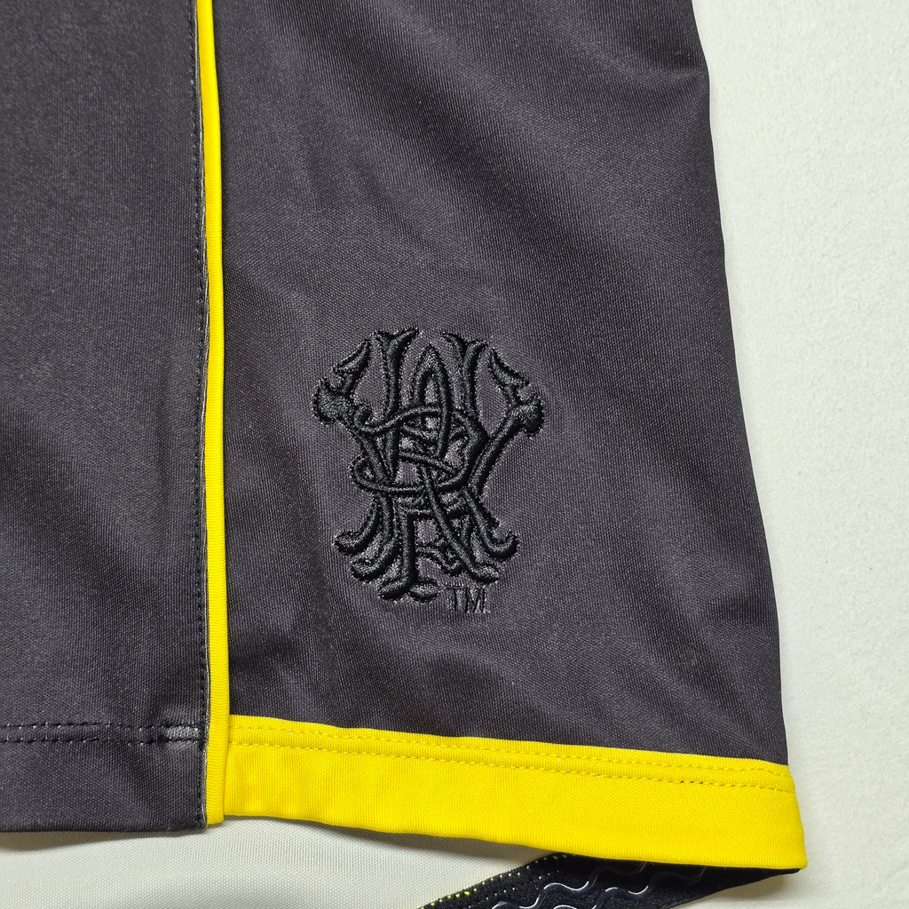 Wellington Lions 2016 Jersey (Player Issued) - Large