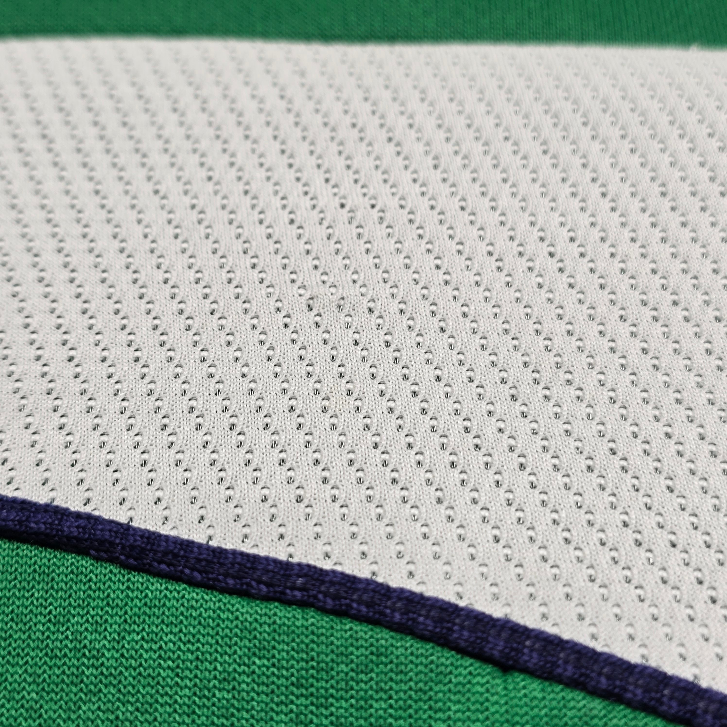 British & Irish Lions 2009 Training Top - Small