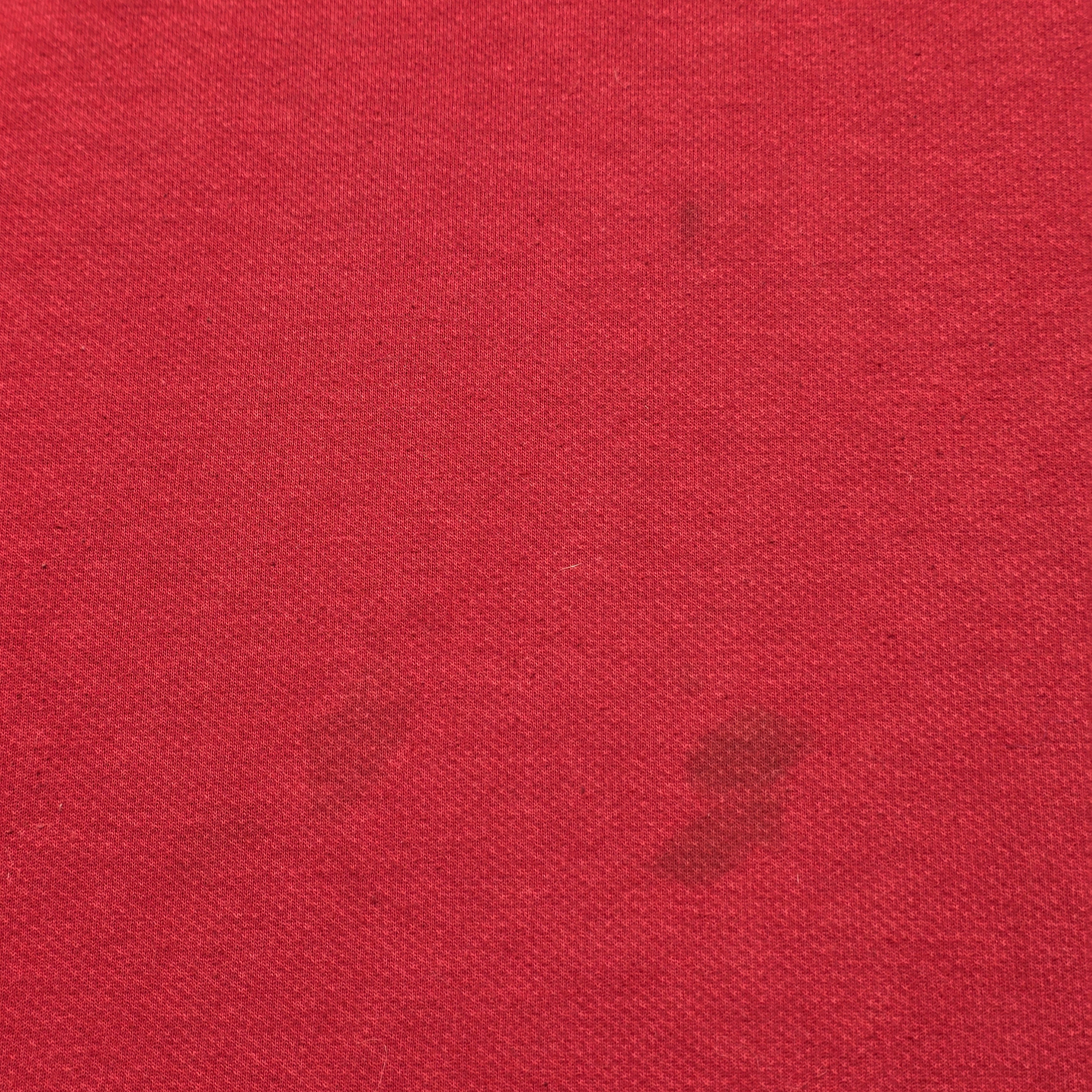 British & Irish Lions Jersey - Large