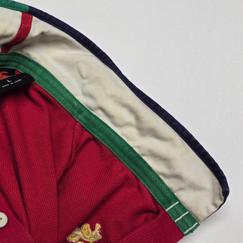 British & Irish Lions Jersey - Large