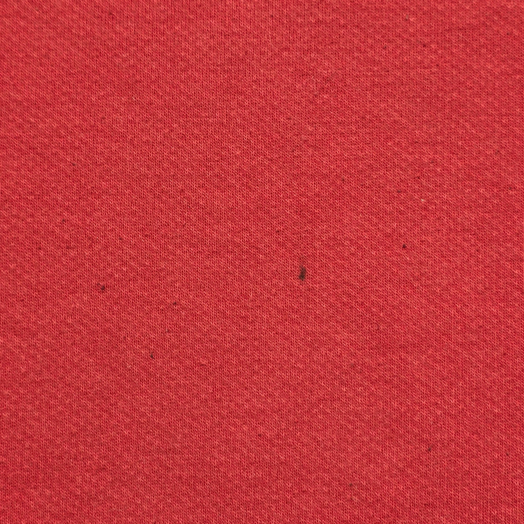 British & Irish Lions Jersey - Large