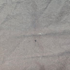 Crusaders 2000 Gym Shorts - Large