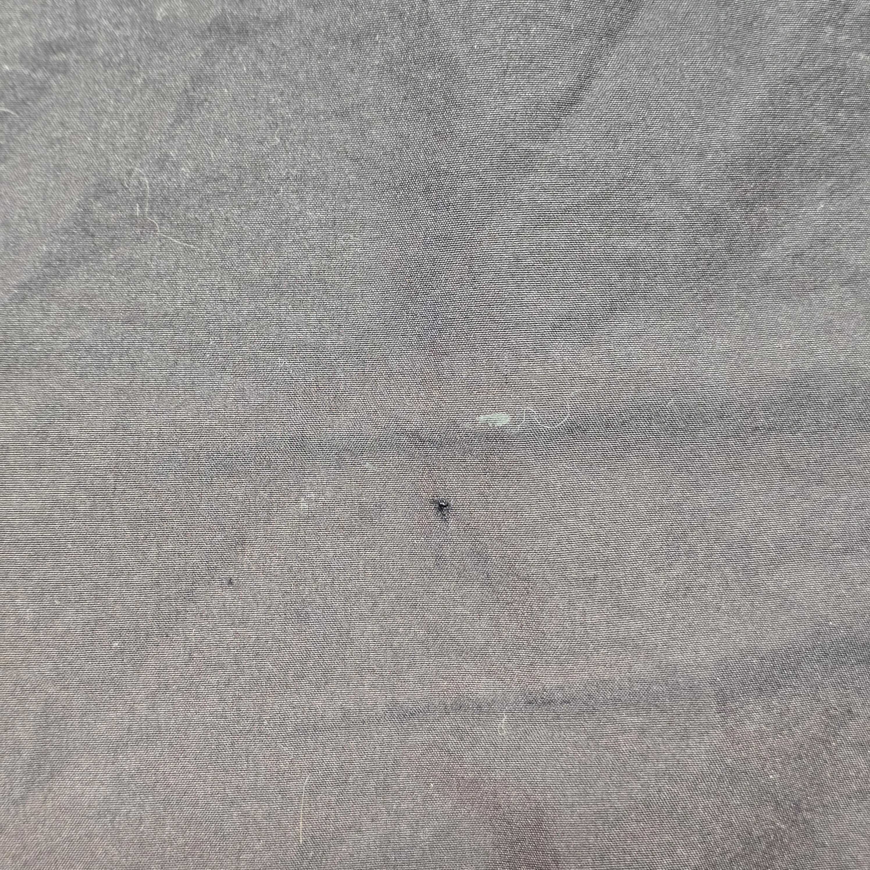 Crusaders 2000 Gym Shorts - Large