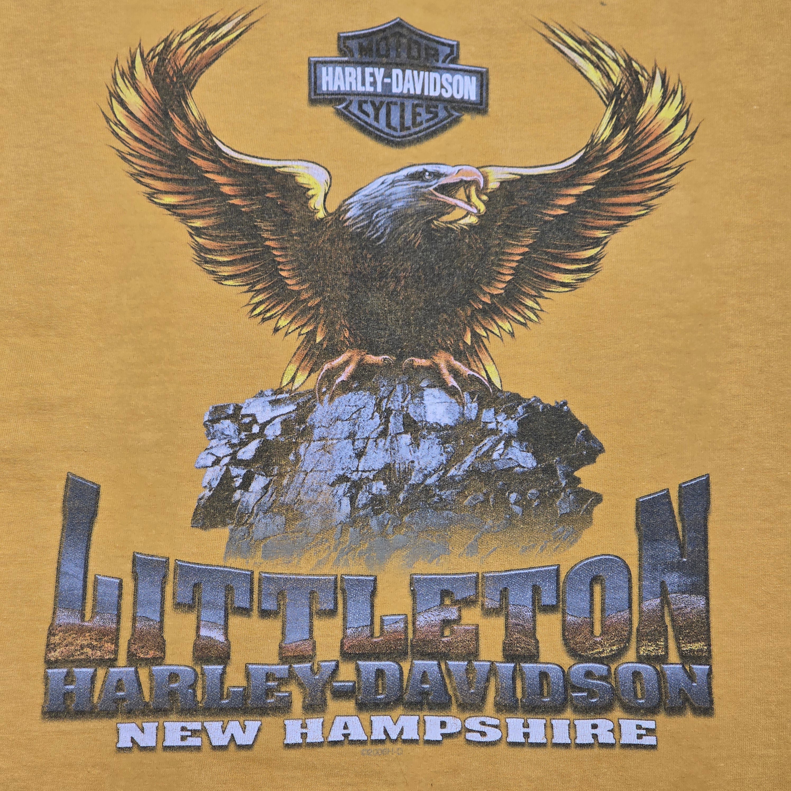 Harley Davidson 2006 T-shirt - "Medium" (Fits small)