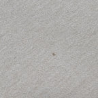 Blackcaps Beige Brigade Shirt - 3XL