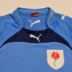 Blue Bulls 2013 Jersey - "Large" (Small)