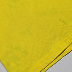 Green Island RFC 140YRS Anniversary Jersey - Small