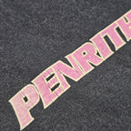 Penrith Panthers T-shirt - Large