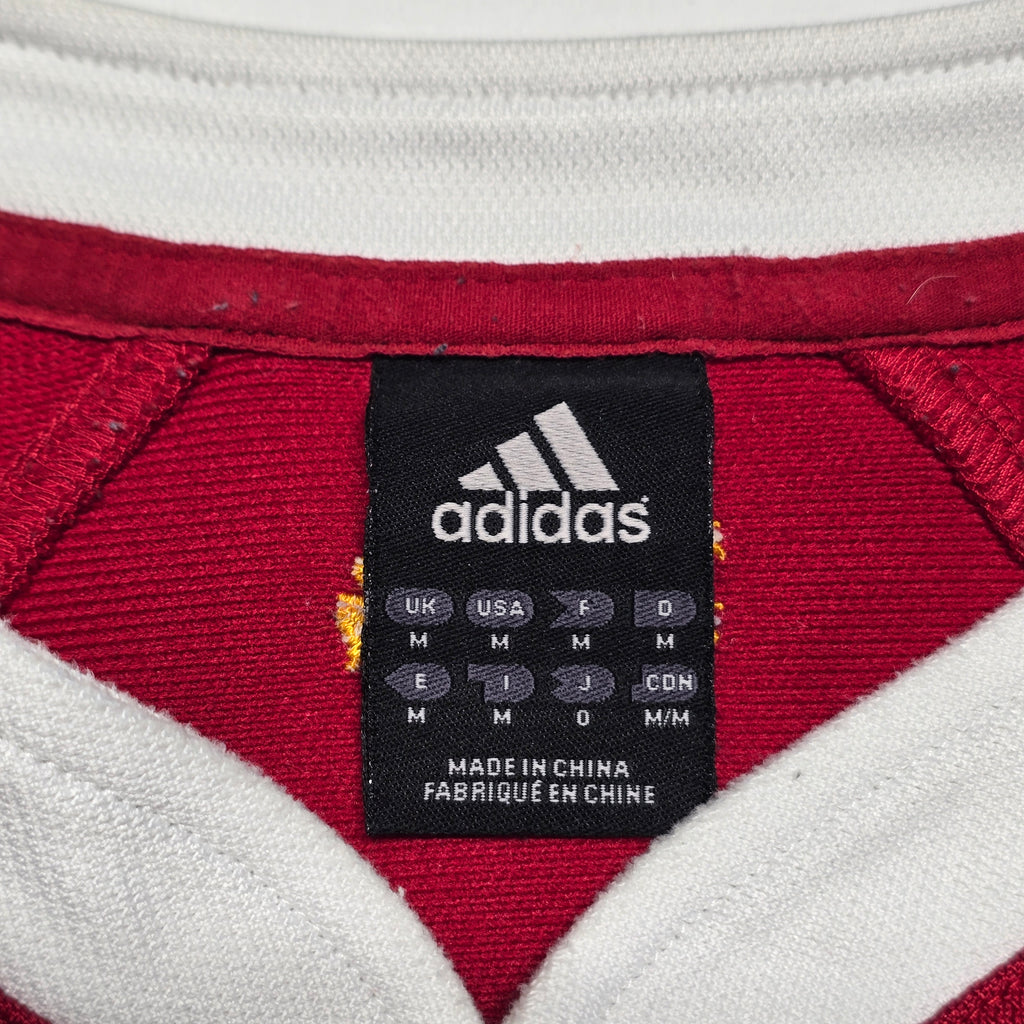 British & Irish Lions 2005 Jersey - Medium
