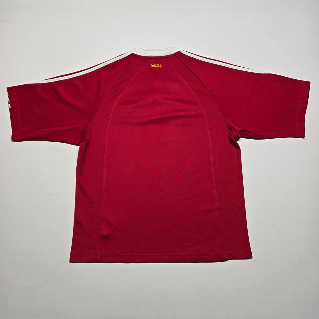 British & Irish Lions 2005 Jersey - Medium