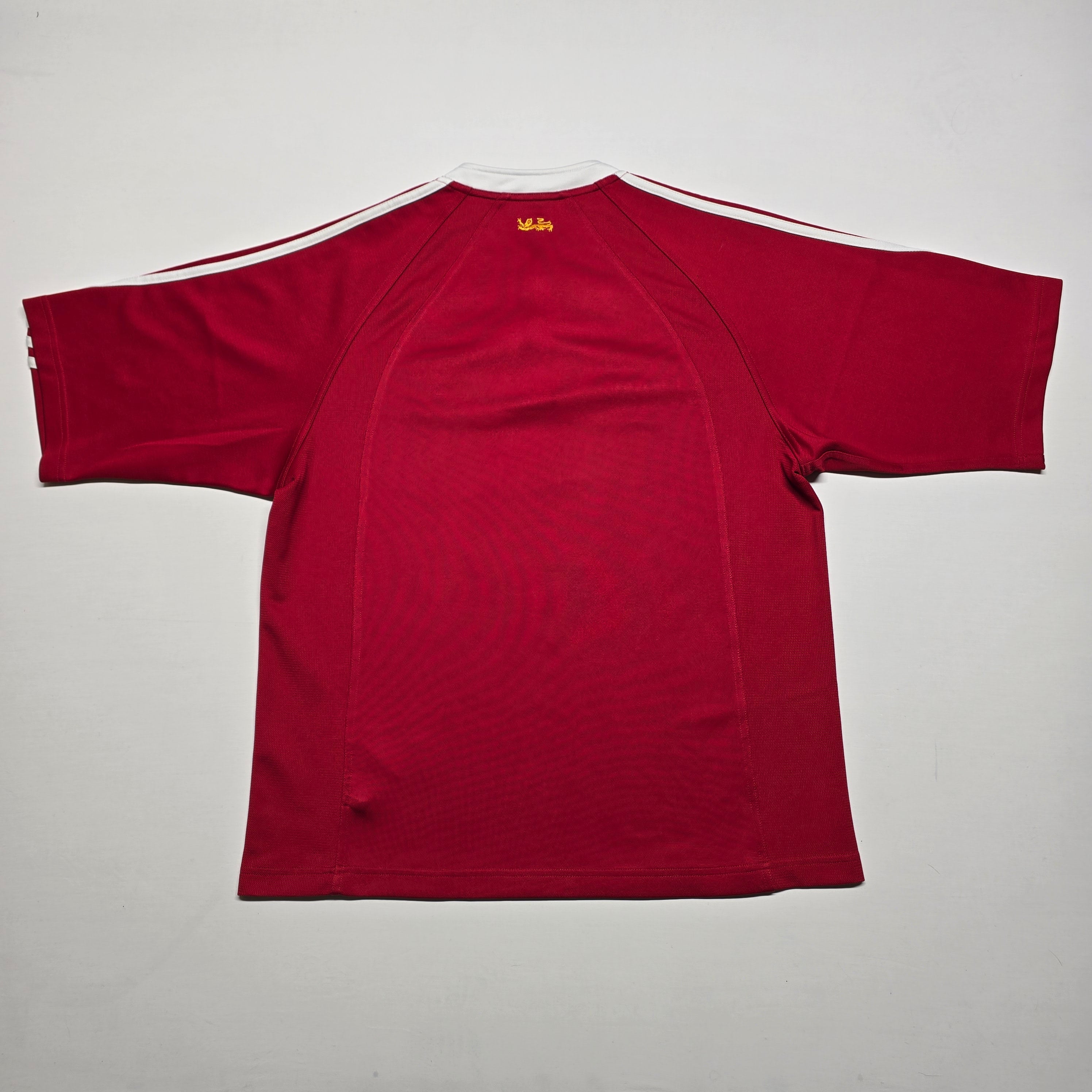 British & Irish Lions 2005 Jersey - Medium