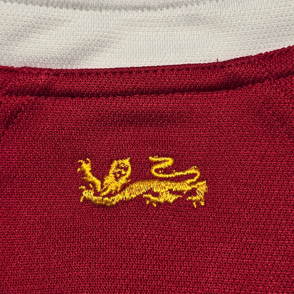 British & Irish Lions 2005 Jersey - Medium