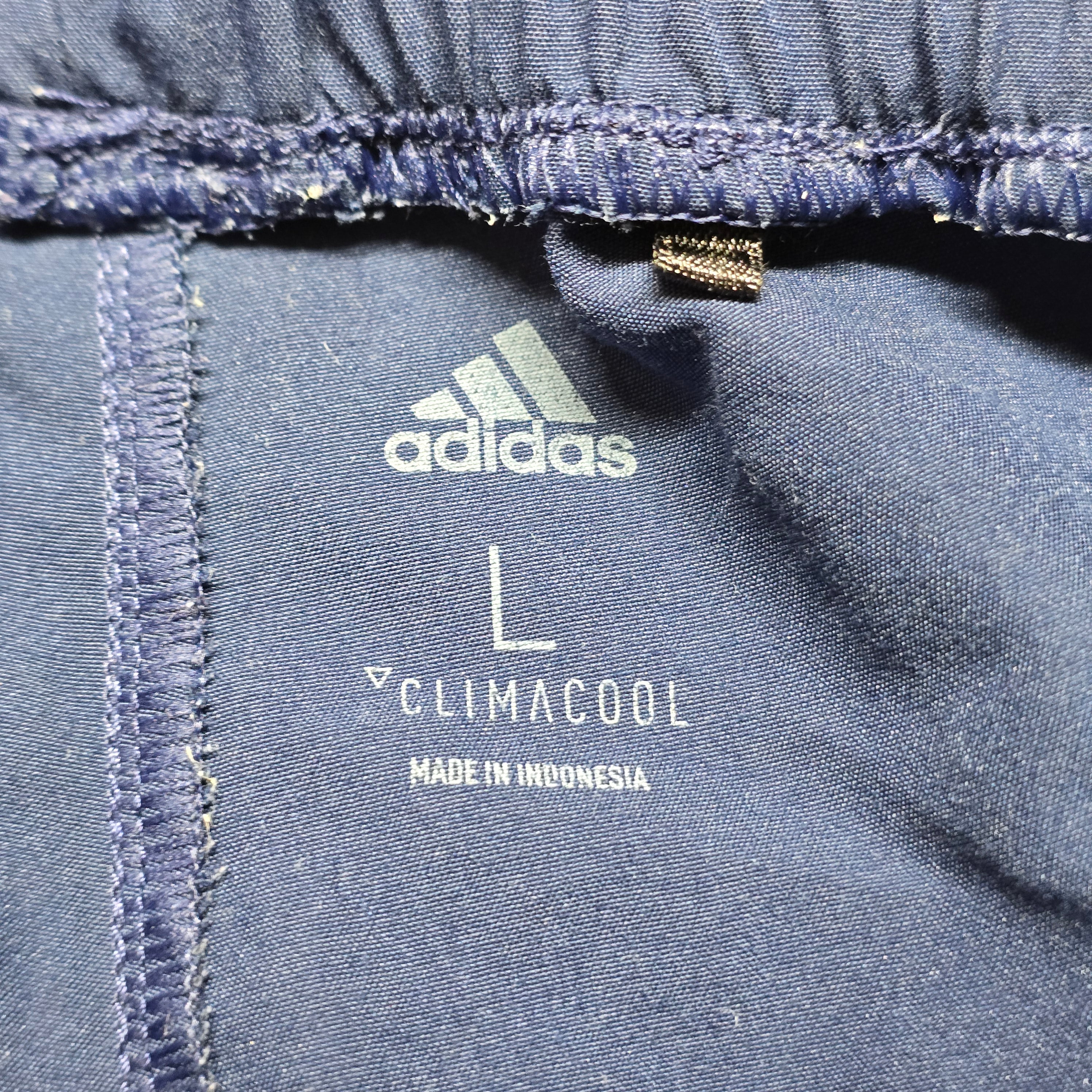 Blues 2019 Gym Shorts - Large