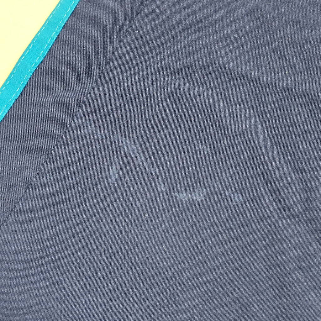 Blues 2019 Gym Shorts - Large