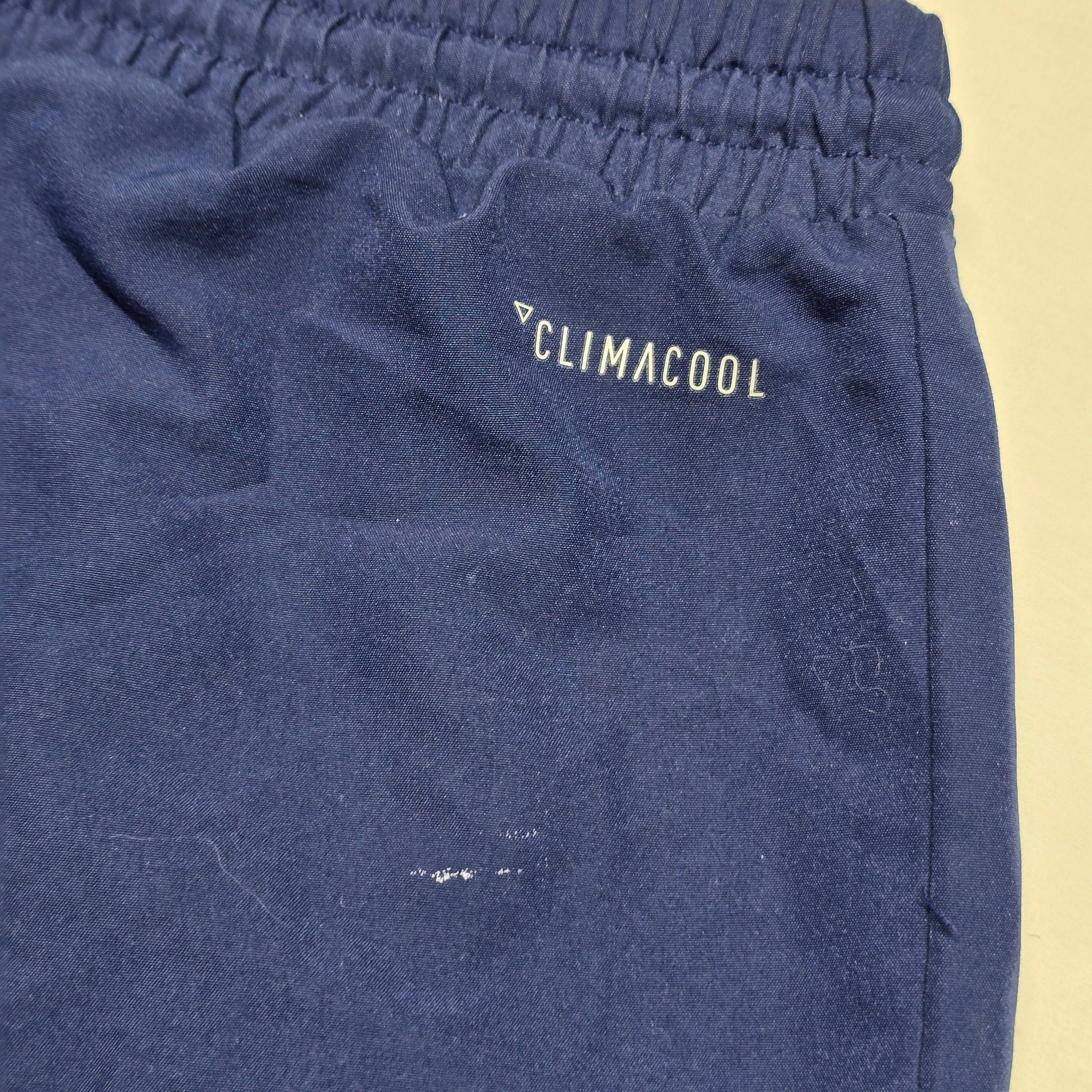 Blues 2019 Gym Shorts - Large