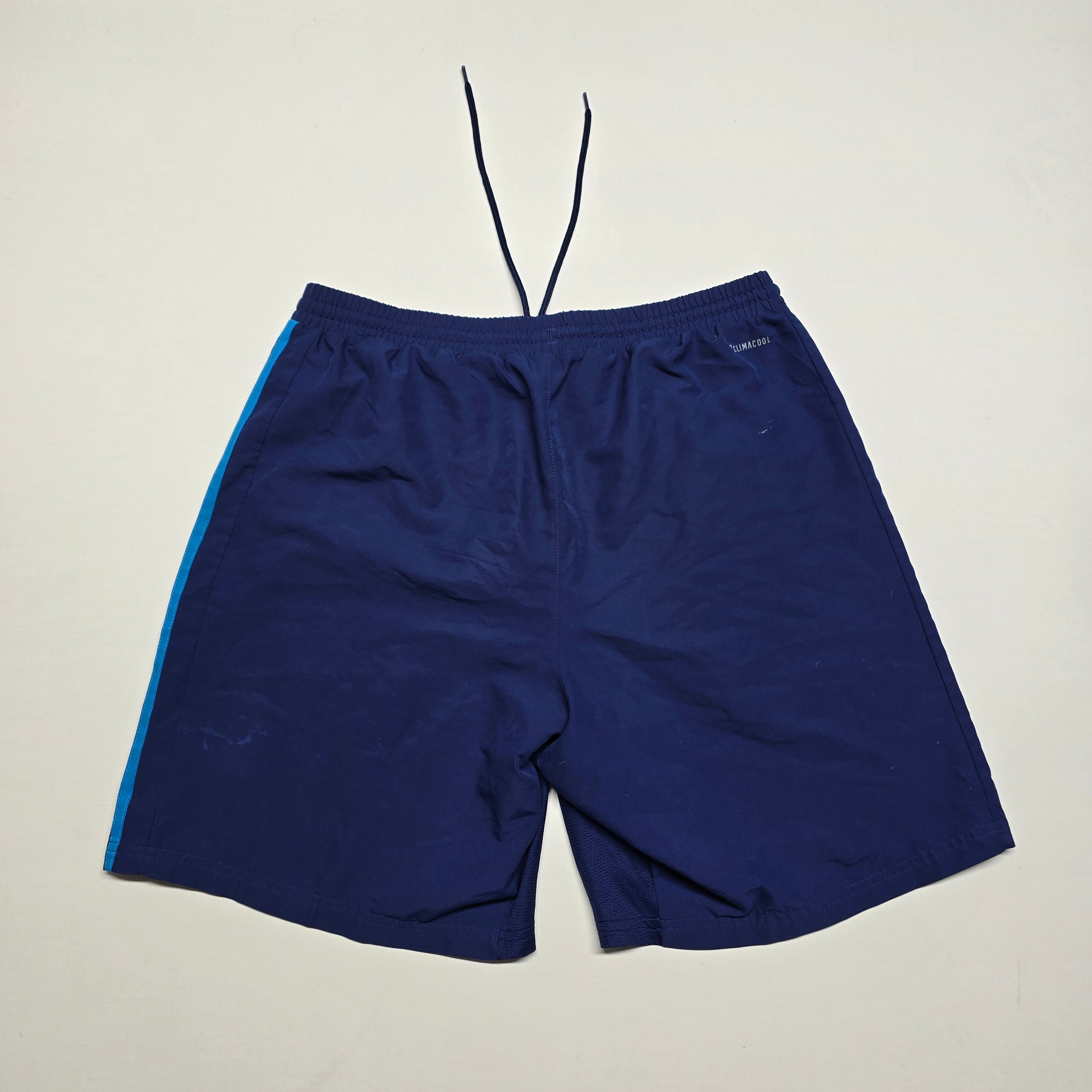 Blues 2019 Gym Shorts - Large