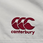 British & Irish Lions 2017 Shorts - Size 38