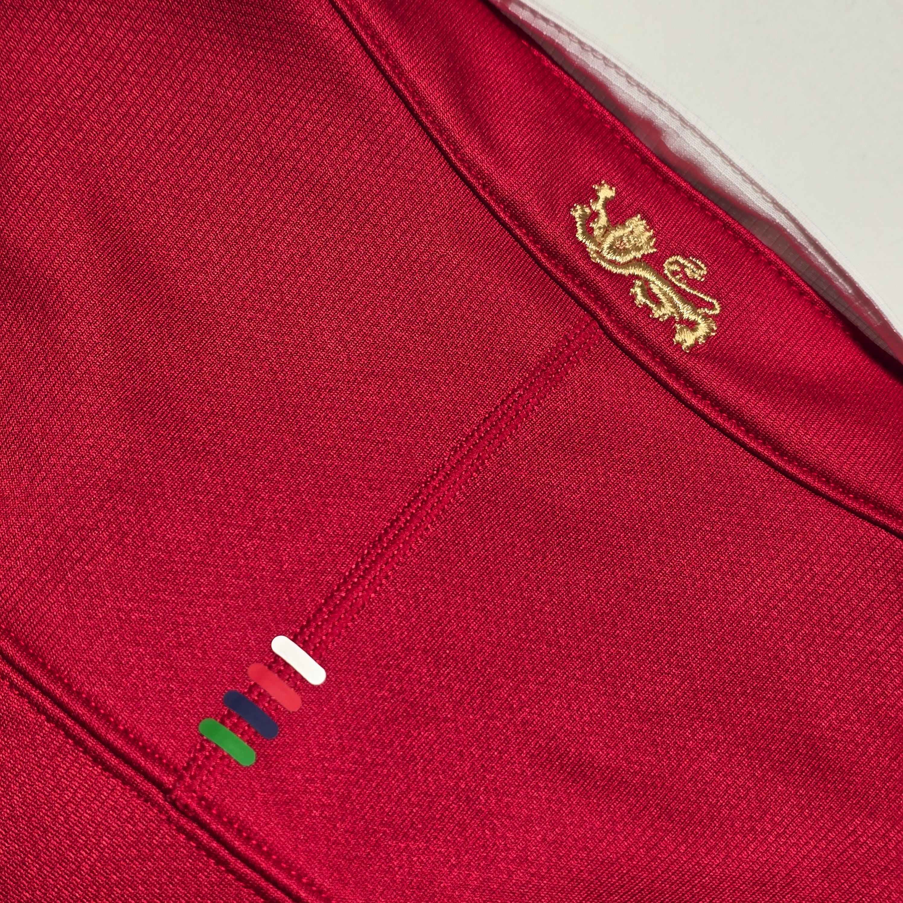 British & Irish Lions 2017 Jersey - Large