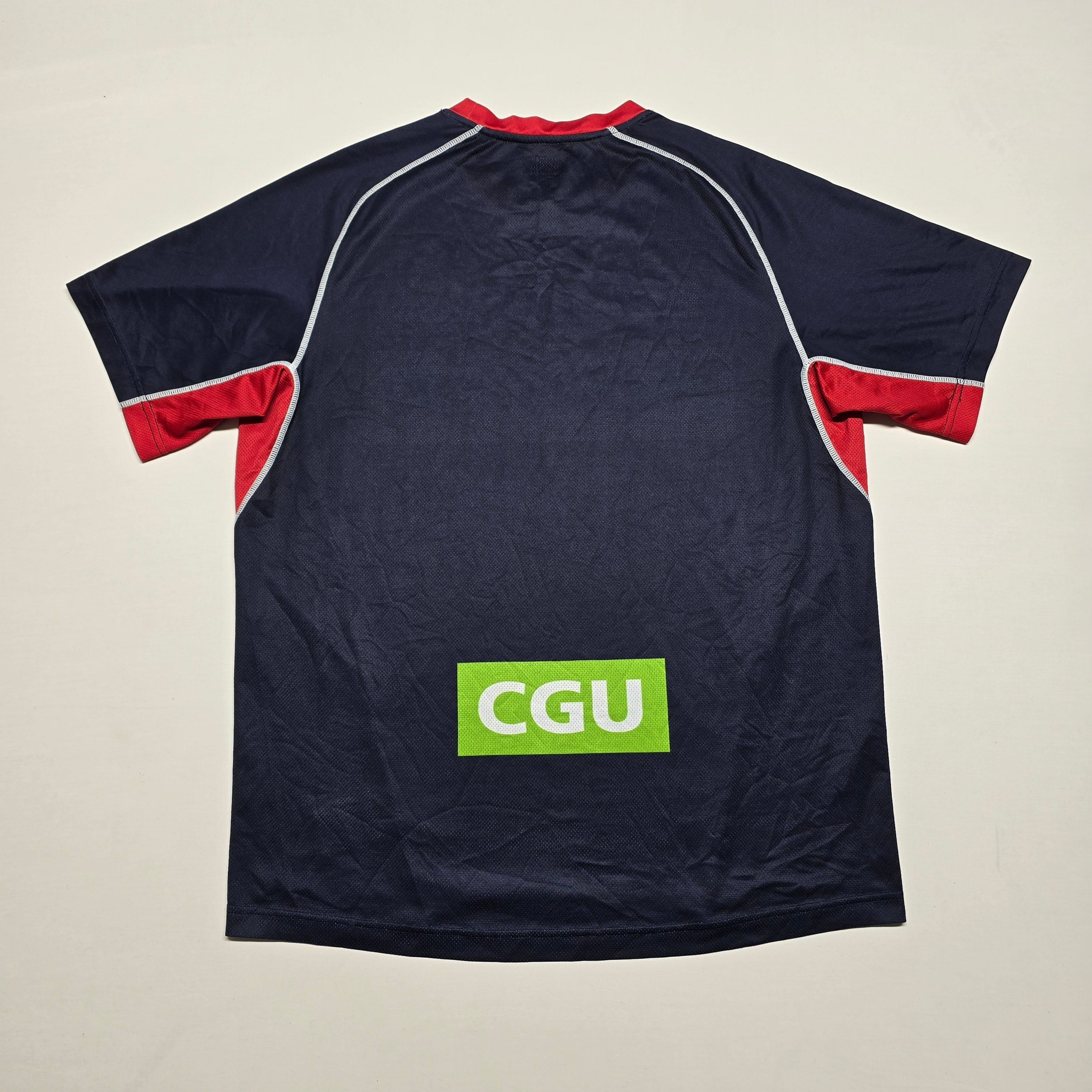 Waratahs Training T-shirt - Large