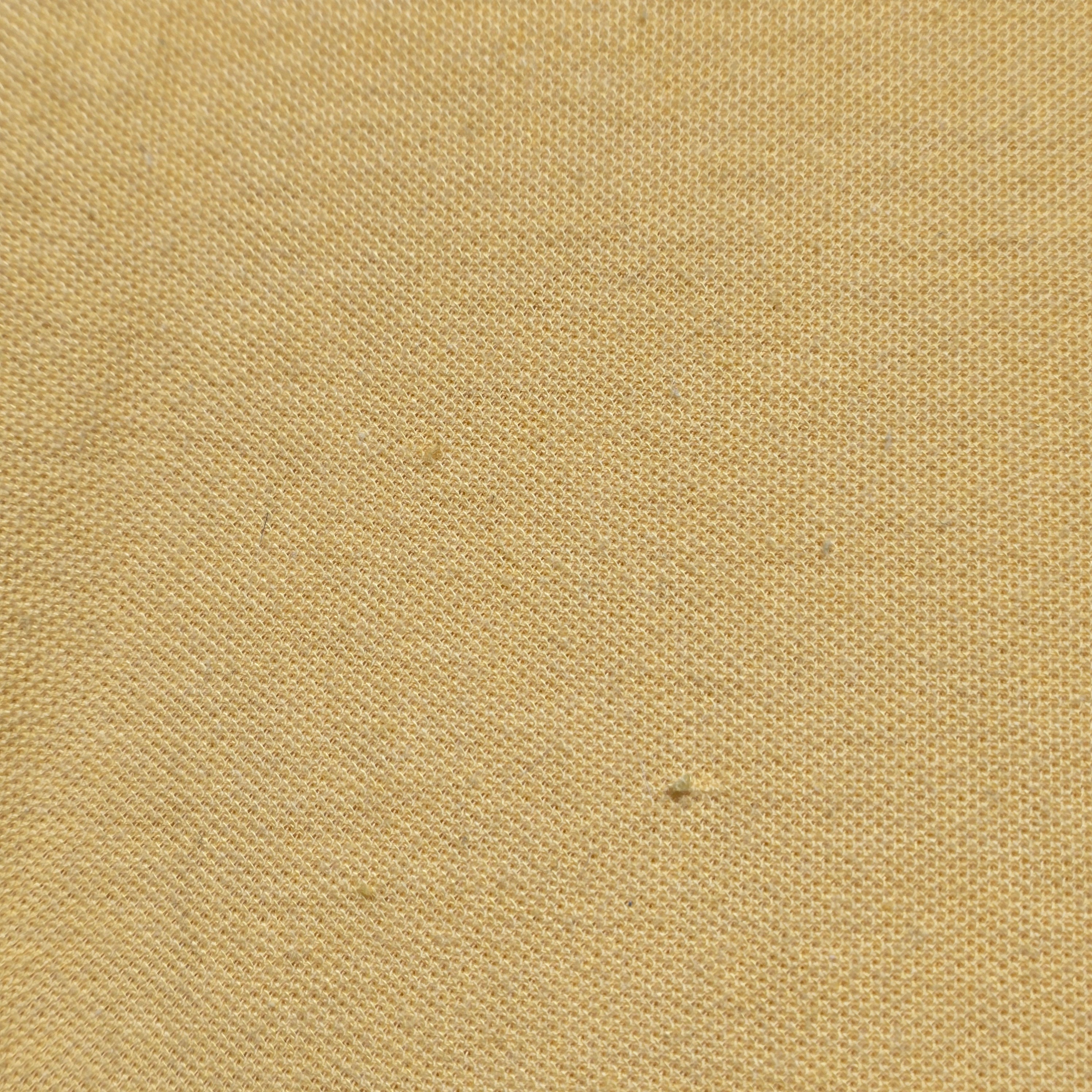 Export Gold Polo - "Large"(Medium)