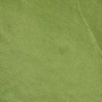 Canberra Raiders 2011 Home Jersey - XL