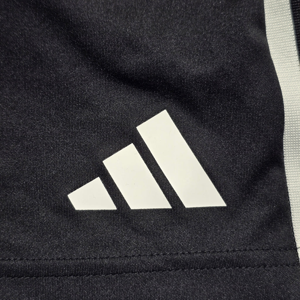 NZ Rugby 2024 Shorts - XL
