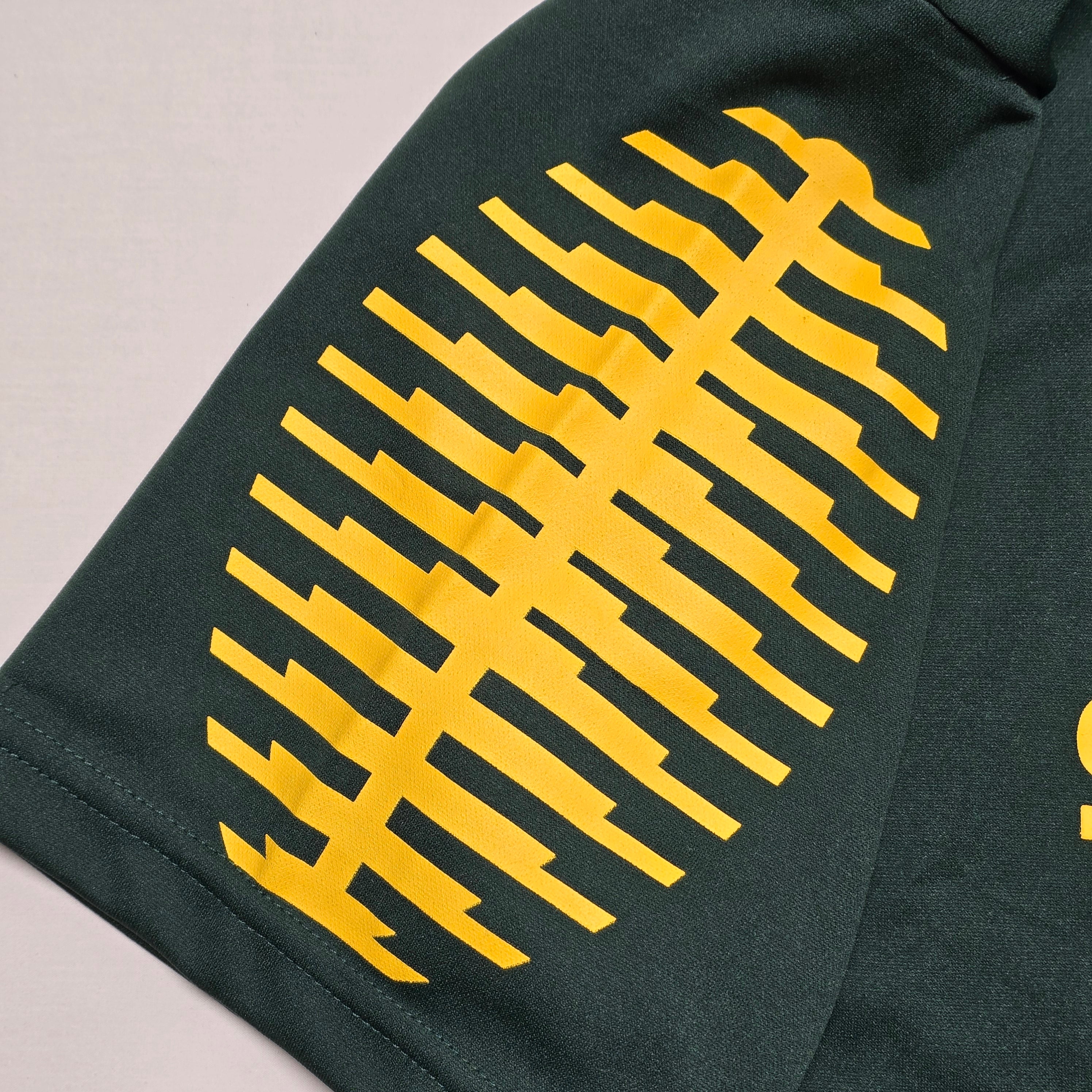 South Africa 2011 RWC Supporters T-shirt - L/XL