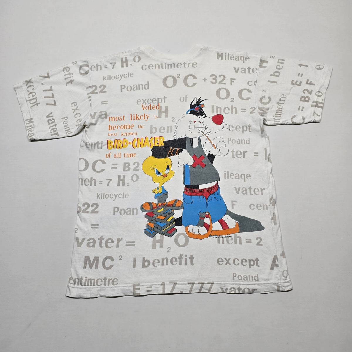 Looney Tunes T-shirt - Small/Medium